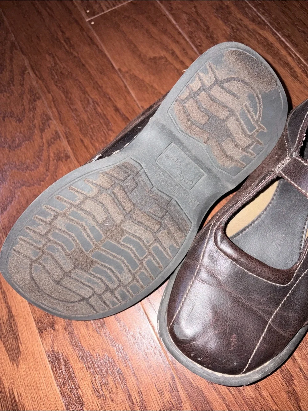 Classic Brown Mary Jane School Shoes for Girls